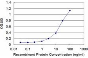 Detection limit for recombinant GST tagged MFAP4 is approximately 1ng/ml as a capture antibody. (MFAP4 antibody  (AA 23-122))