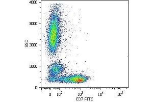 Surface staining of human peripheral blood cells with anti-human CD7 (MEM-186) FITC. (CD7 antibody)