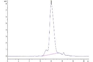 The purity of Human CA125 is greater than 95 % as determined by SEC-HPLC. (MUC16 Protein (AA 12660-12923) (His-Avi Tag))