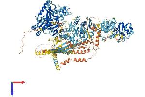 AlphaFold protein structure predicition of Human Recombinant ERVK-7 Protein, UniprotID P63135 (ERVK-7 Protein (AA 1-1459) (His tag))