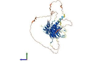 AlphaFold protein structure predicition of Mouse Recombinant Smad6 Protein, UniprotID O35182