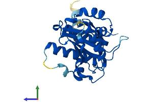 Protein Structure (PS) image for SUMO/sentrin Specific Peptidase Family Member 8 (SENP8) (AA 1-221) protein (His tag) (ABIN7560932)