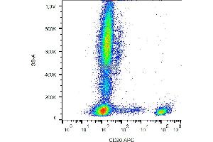 Flow cytometry analysis (surface staining) of human peripheral blood cells with anti-human CD20 (LT20) APC. (CD20 antibody  (APC))