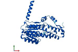 Protein Structure (PS) image for Retinol Dehydrogenase 16 (All-Trans) (RDH16) (AA 1-317) protein (His tag) (ABIN7551197)