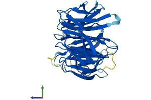 Protein Structure (PS) image for WD Repeat Domain 54 (WDR54) (AA 1-334) protein (His tag) (ABIN7545166)