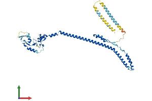 AlphaFold protein structure predicition of Mouse Recombinant Trim59 Protein, UniprotID Q922Y2 (TRIM59 Protein (AA 1-403) (His tag))