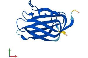 AlphaFold protein structure predicition of Human Recombinant IFT25 Protein, UniprotID Q9Y547