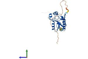 AlphaFold protein structure predicition of Mouse Recombinant N4bp2l1 Protein, UniprotID Q3V2Q8