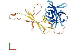 AlphaFold protein structure predicition of Human Recombinant IL33 Protein, UniprotID O95760 (IL-33 Protein (AA 1-270) (His tag))