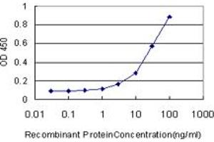 Detection limit for recombinant GST tagged PRDX1 is approximately 1ng/ml as a capture antibody. (Peroxiredoxin 1 antibody  (AA 1-199))
