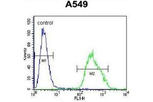 Flow cytometric analysis of A549 cells using PALM3 Antibody (C-term) Cat. (PALM3 antibody  (C-Term))