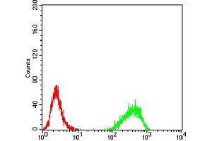 Flow cytometric analysis of K562 cells using DNMT3B mouse mAb (green) and negative control (red). (DNMT3B antibody  (AA 1-150))