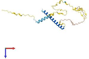 Methyl-CpG Binding Domain Protein 3-Like 3 (MBD3L3) (AA 1-208) protein (His tag)