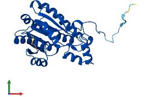 AlphaFold protein structure predicition of Human Recombinant HSD17B14 Protein, UniprotID Q9BPX1