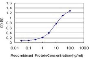 Detection limit for recombinant GST tagged UCKL1 is approximately 0. (UCKL1 antibody  (AA 301-400))