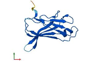 AlphaFold protein structure predicition of Mouse Recombinant Urah Protein, UniprotID Q9CRB3 (Urah Protein (AA 1-118) (His tag))