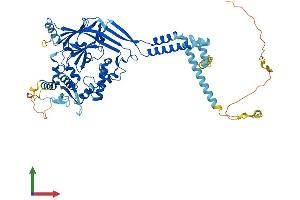 Protein Structure (PS) image for Sodium Channel, Nonvoltage-Gated 1, beta (SCNN1B) (AA 1-640) protein (His tag) (ABIN7555395)