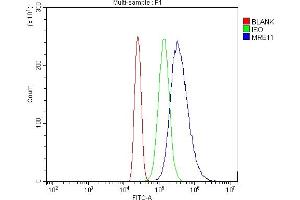 Flow Cytometry analysis of HL-60 cells using anti-MRE11 antibody (ABIN7600025). (Mre11 antibody  (AA 14-481))
