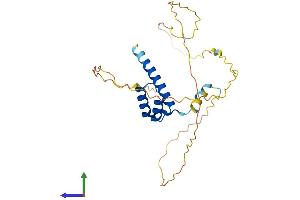 AlphaFold protein structure predicition of Human Recombinant HOXC9 Protein, UniprotID P31274