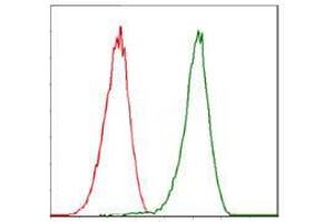 Flow Cytometry (FACS) image for anti-Cyclin-Dependent Kinase 2 (CDK2) antibody (ABIN969506)