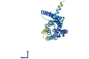 AlphaFold protein structure predicition of Human Recombinant OR4L1 Protein, UniprotID Q8NH43 (OR4L1 Protein (AA 1-312) (His tag))