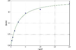 Ornithine Aminotransferase (OAT) ELISA Kit