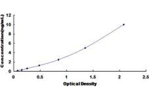 Typical standard curve (ISL1 ELISA Kit)