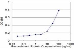 Detection limit for recombinant GST tagged FOXO1A is approximately 3ng/ml as a capture antibody. (FOXO1 antibody  (AA 556-655))