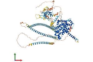 AlphaFold protein structure predicition of Human Recombinant TBC1D2B Protein, UniprotID Q9UPU7