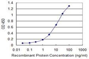 Detection limit for recombinant GST tagged MYCBP is 0. (MYCBP antibody  (AA 34-103))