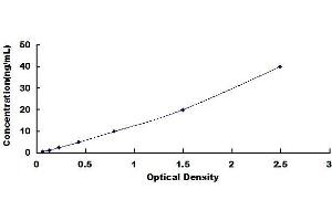 Typical standard curve (SLC6A19 ELISA Kit)