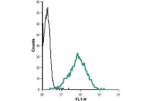 Cell surface detection of Nectin-2 in live intact human Jurkat T cell leukemia cells: (black line) Cells + goat-anti-rabbit-Alexa-488. (Nectin-2 antibody  (Extracellular, N-Term))