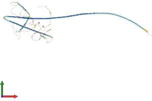 AlphaFold protein structure predicition of Human Recombinant CEP131 Protein, UniprotID Q9UPN4 (AZI1 Protein (AA 1-1083) (His tag))
