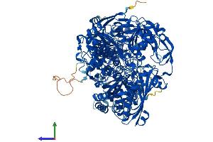 AlphaFold protein structure predicition of Mouse Recombinant Aox3 Protein, UniprotID G3X982 (Aox3 Protein (AA 1-1335) (His tag))