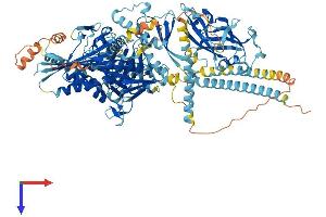 KIF28P (AA 1-1028) protein (His tag)