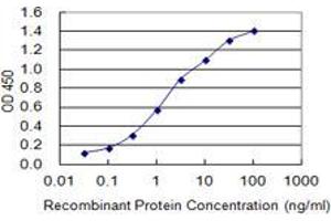 Detection limit for recombinant GST tagged MYT1L is 0. (MYT1L antibody  (AA 301-410))