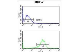 Flow cytometry analysis of MCF-7 cells (bottom histogram) compared to a negative control cell (top histogram). (IL-10RA antibody  (AA 147-175))