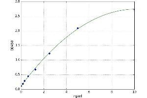 Chemokine (C-X-C Motif) Receptor 3 (CXCR3) ELISA Kit