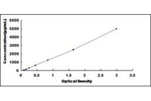 Typical standard curve (GFER ELISA Kit)