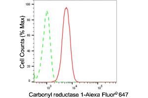 Flow cytometric analysis of Carbonyl reductase 1 expression in C2C12 cells using Carbonyl reductase 1 antibody (ABIN7797872), 1:2,000).