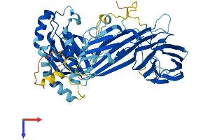 MUDEN Protein (AA 1-490) (His tag)