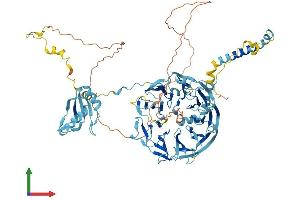 Protein Structure (PS) image for Eukaryotic Translation Initiation Factor 3, Subunit B (EIF3B) (AA 1-814) protein (His tag) (ABIN7553801)