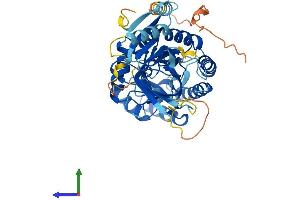AlphaFold protein structure predicition of Human Recombinant AZIN2 Protein, UniprotID Q96A70 (ADC Protein (AA 1-460) (His tag))
