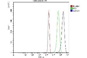Flow Cytometry analysis of U20S cells using anti-SBNO1 antibody (ABIN7601710).
