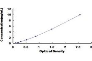 Typical standard curve (Asporin ELISA Kit)