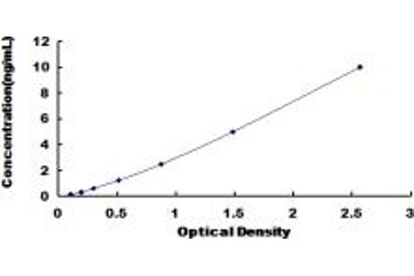 Asporin ELISA Kit