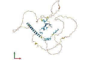 Protein Structure (PS) image for WW Domain Containing Transcription Regulator 1 (WWTR1) (AA 1-400) protein (His tag) (ABIN7556023)