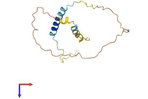 Chromosome 6 Open Reading Frame 52 (C6ORF52) (AA 1-152) protein (His tag)