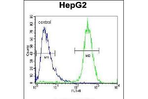Flow cytometric analysis of HepG2 cells (right histogram) compared to a negative control cell (left histogram). (TYROBP antibody  (C-Term))