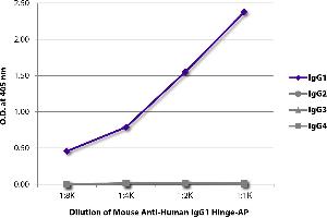 ELISA plate was coated with purified human IgG1, IgG2, IgG3, and IgG4. (Mouse anti-Human IgG1 (Hinge Region) Antibody (Alkaline Phosphatase (AP)))